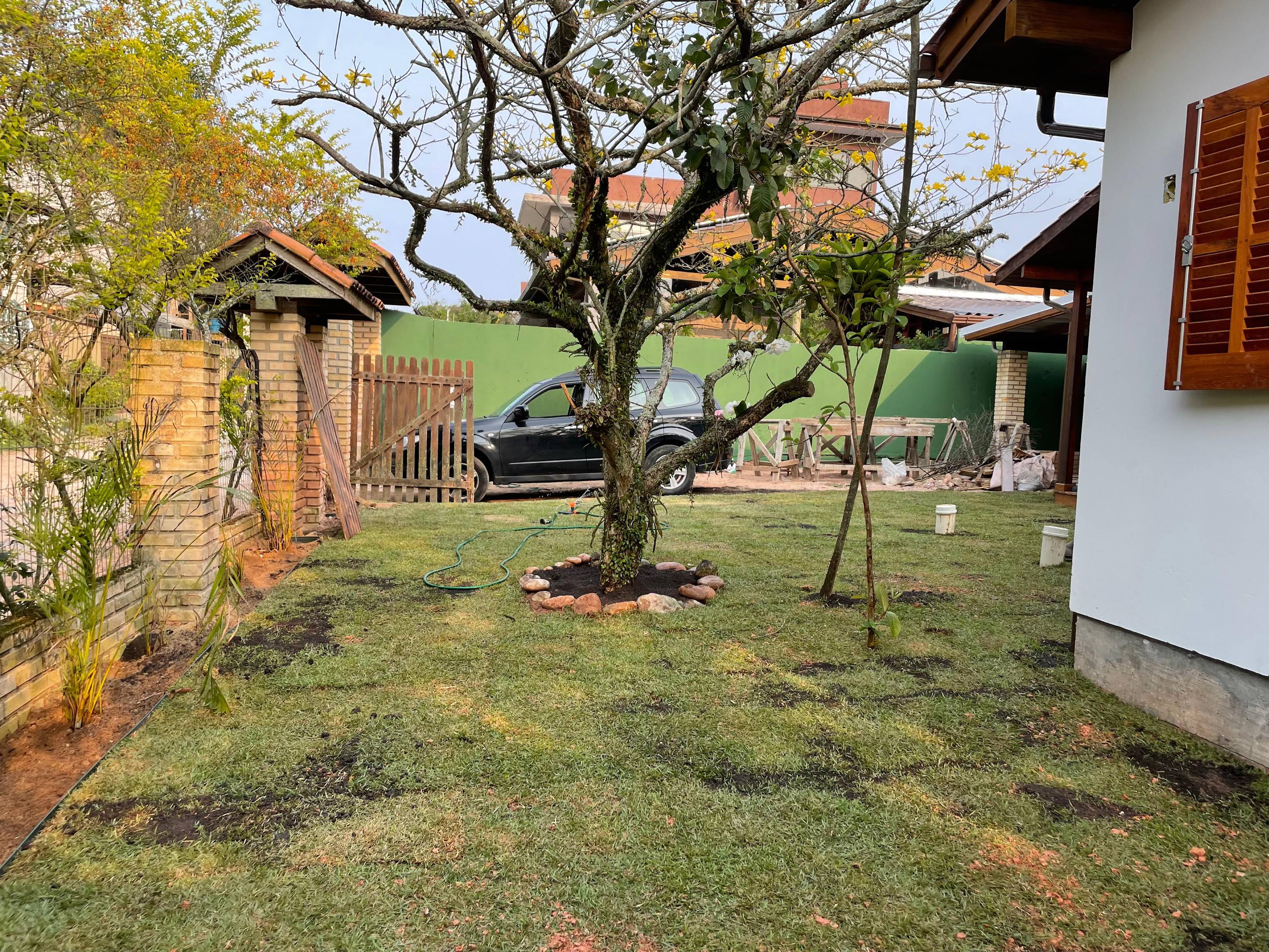 Área externa ampla com gramado e árvore central, projeto da Natal Natureza